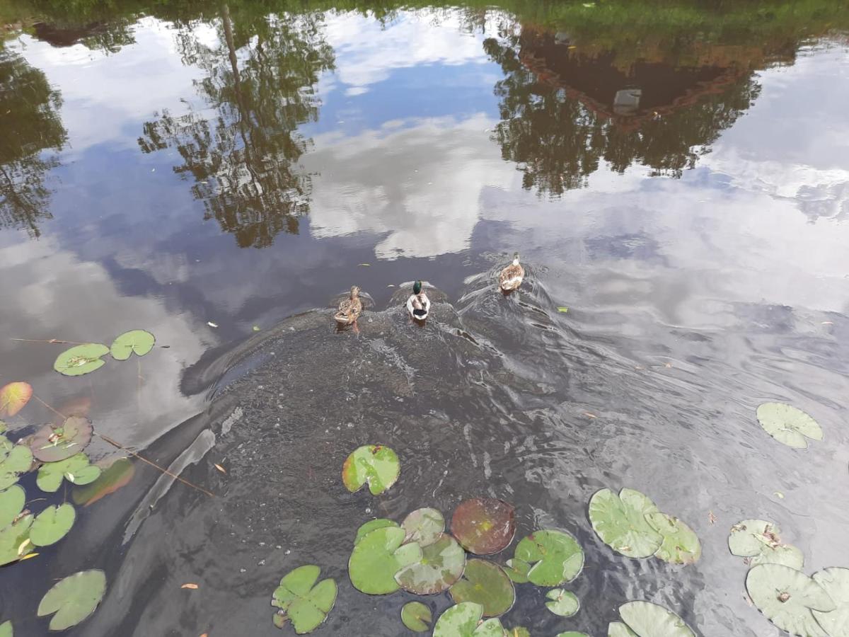 Waterhuis Friesland Oudwoude Екстер'єр фото